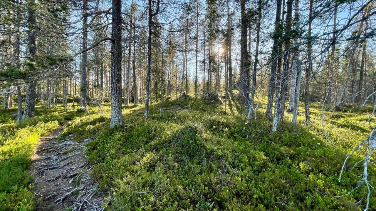 Hotel Lapiosalmi Wilderness Center Posio Esterno foto